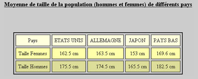taille.jpg